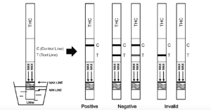 THC Test Interpretation