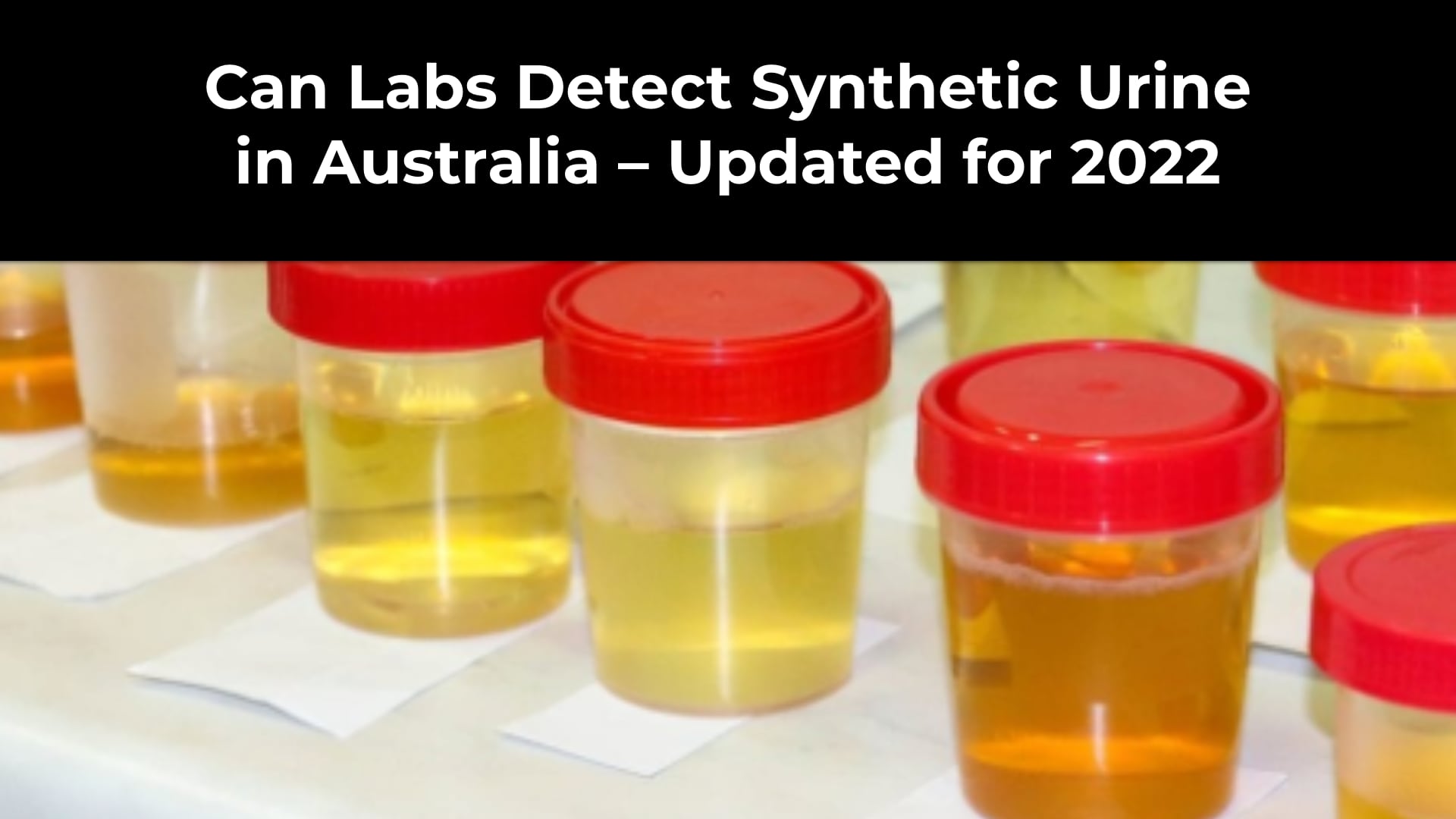 Can Labs Detect Synthetic Urine in Australia Updated for 2022 Detox